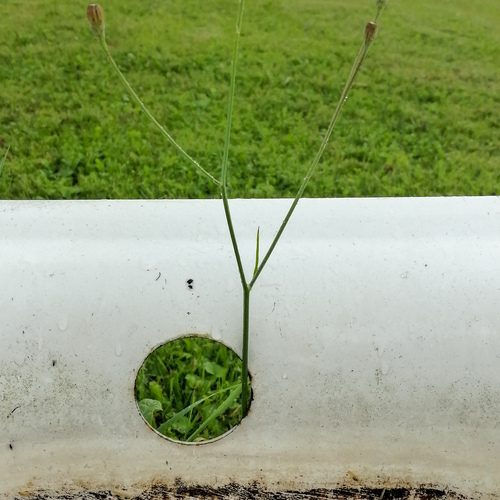 Photo #13906565