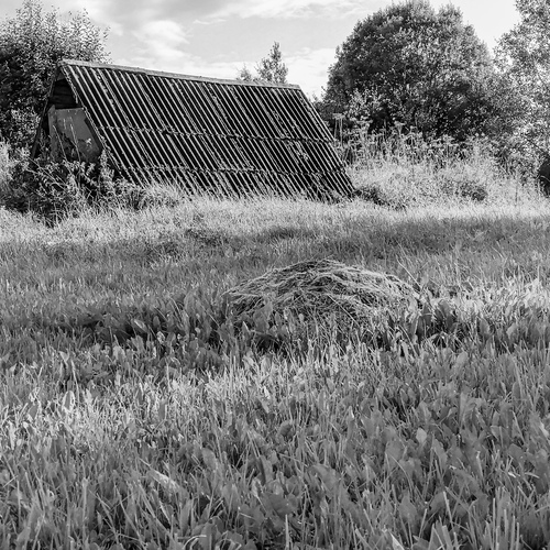 Photo #13906574