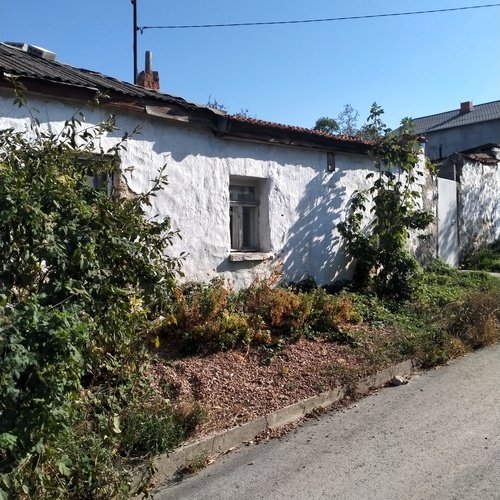 Photo #13906576