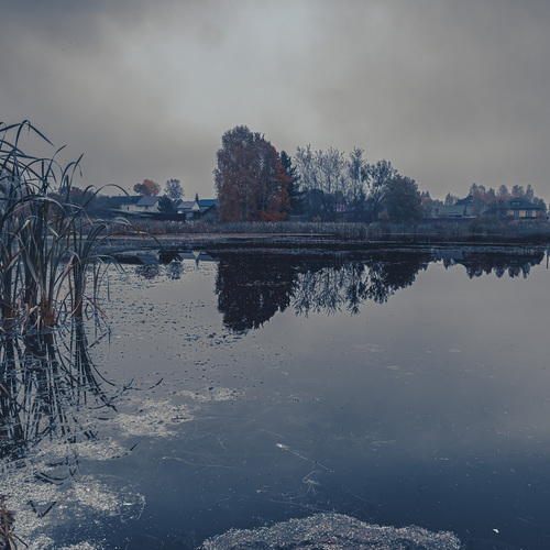 Photo #13906582