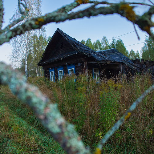 Photo #13906714