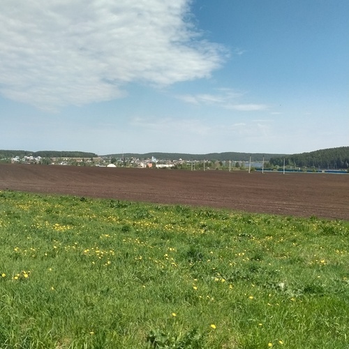 Photo #13906734