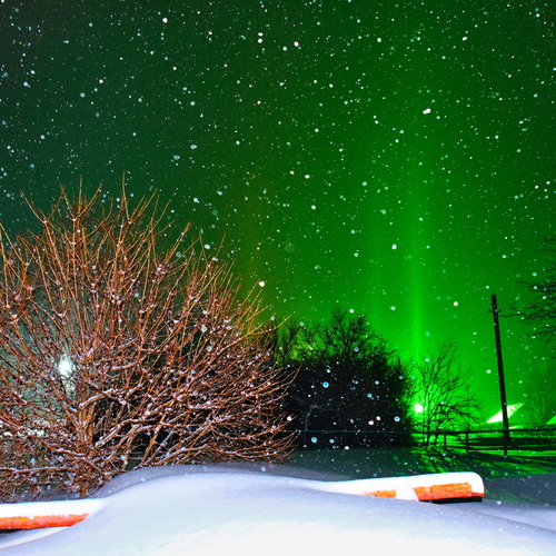 Photo #13906756