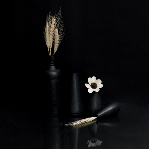 WHERE SILENCE BLOOM