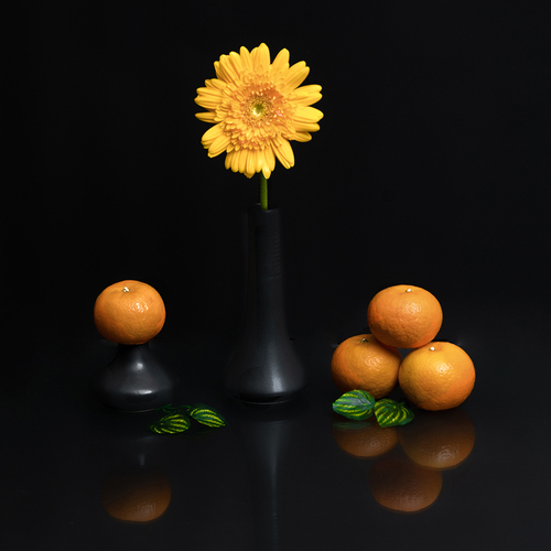 GOLDEN HARMONY