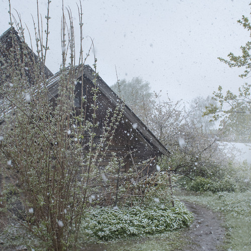 Photo #13906792