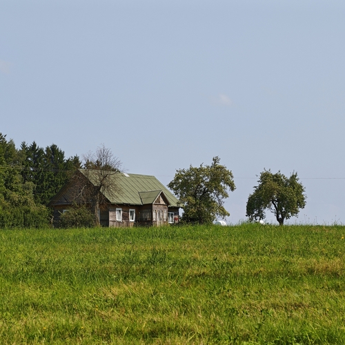 Photo #13906802