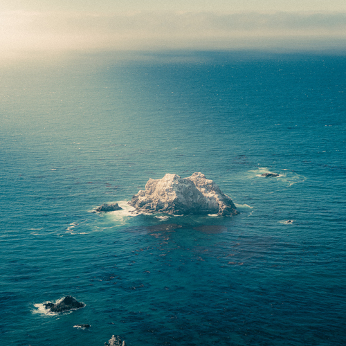 Photo #13906809