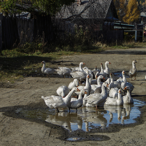 Photo #13906822