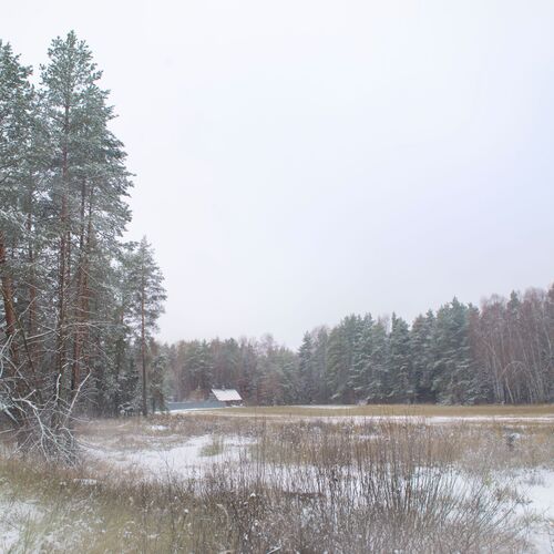 Photo #13906828