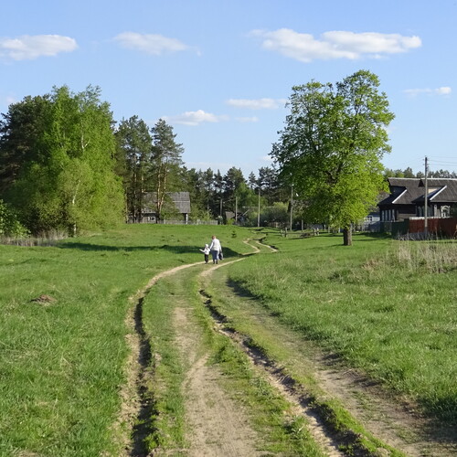 Конюково весной