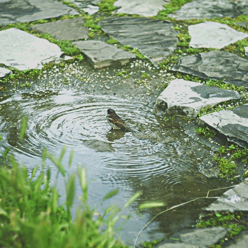 Photo #13906905