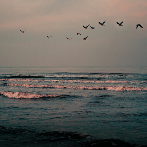 Photo #13906929