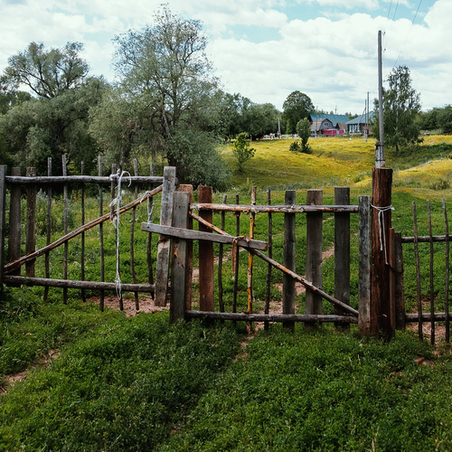 Photo #13907076