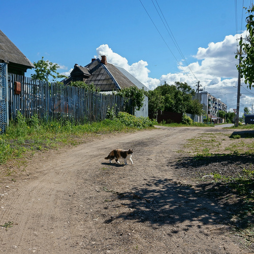 Photo #13907077