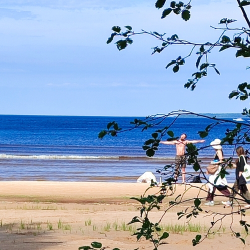 Photo #13907081