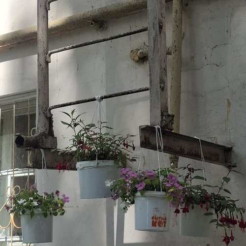 Photo #13907115