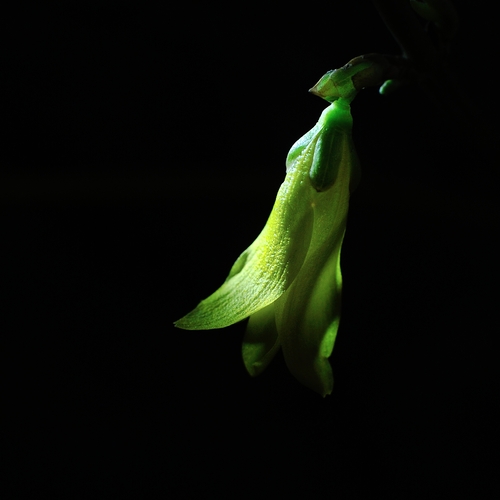 Photo #13907237