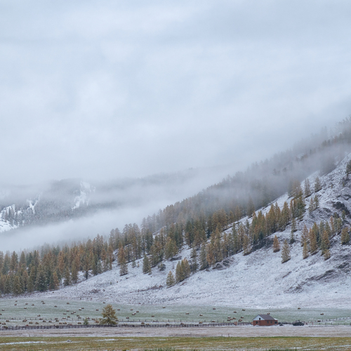 Photo #13907328