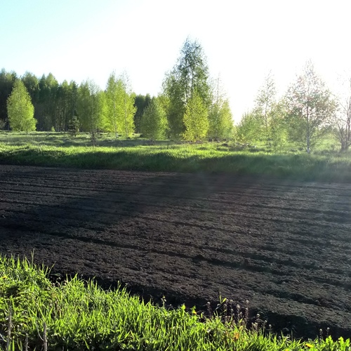 Photo #13907403