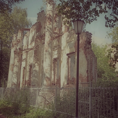 Photo #13907539