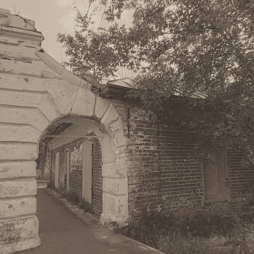 Photo #13907541