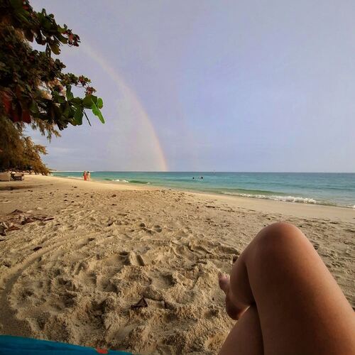 Photo #13907594