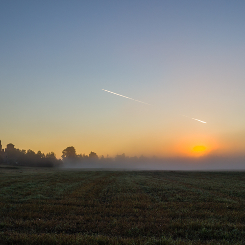 Photo #13907665