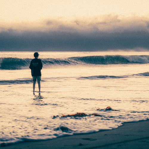 Photo #13907680