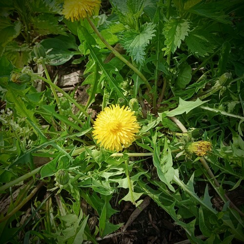 Photo #13907714