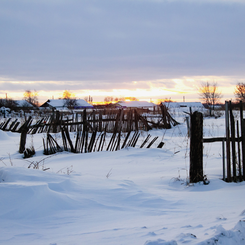 Photo #13907769