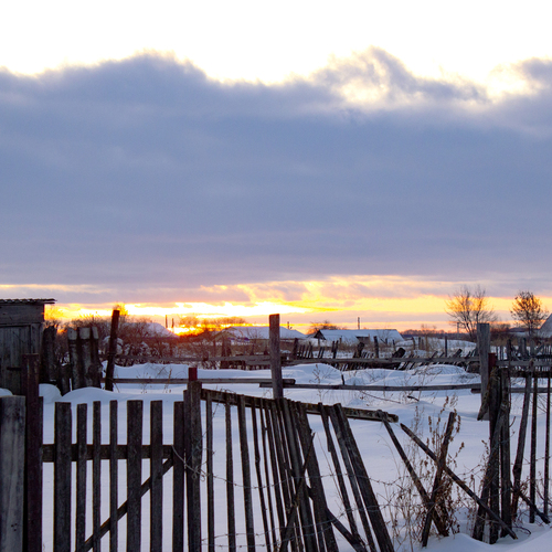 Photo #13907787
