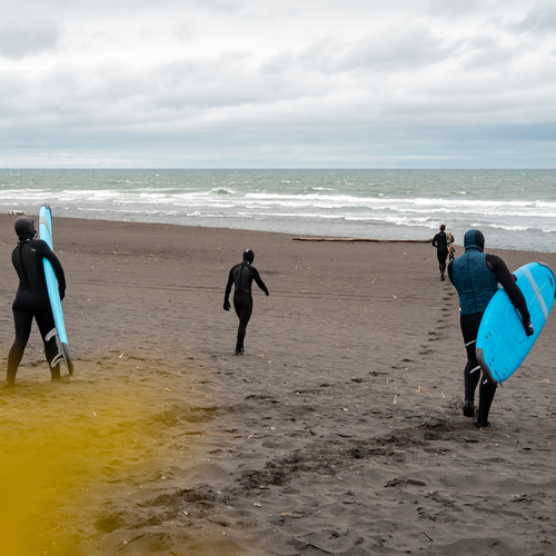 Photo #13907796