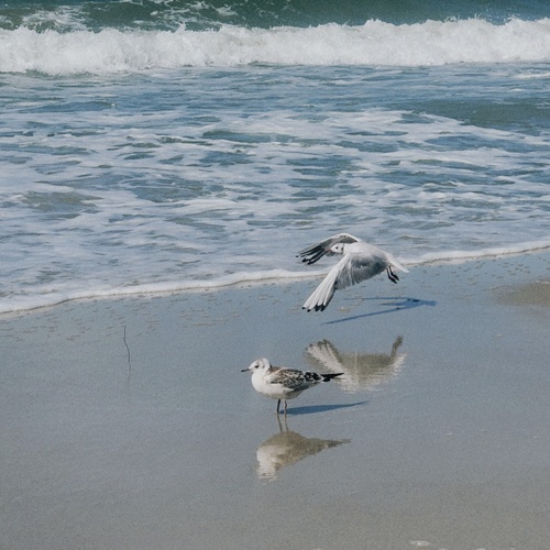 Photo #13907988