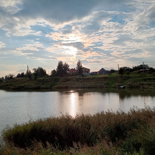 Photo #13907989