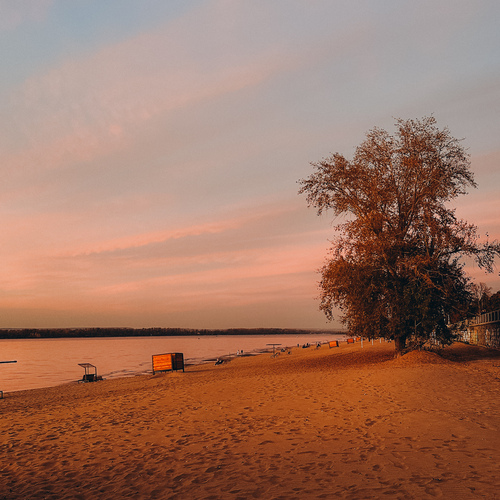 Photo #13908000