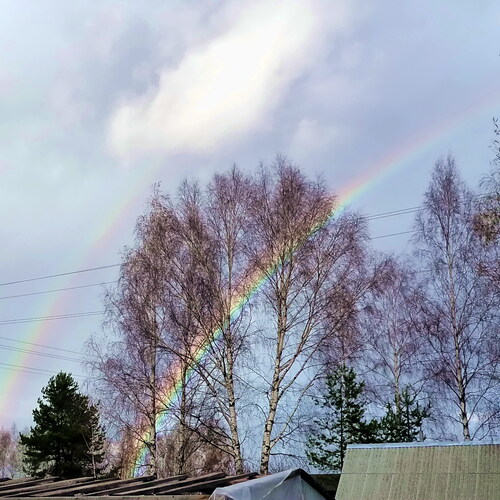Photo #13908057