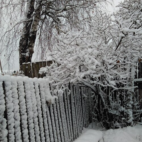 Photo #13908058