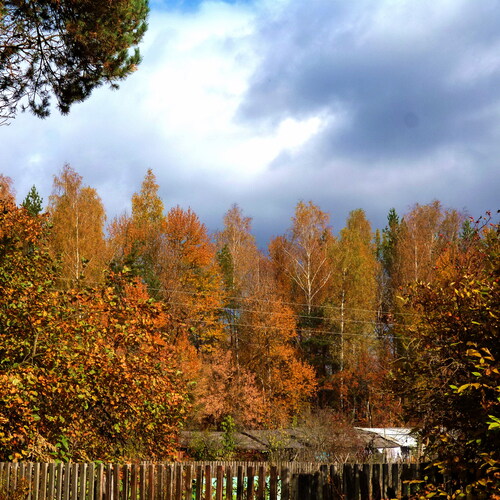 Photo #13908062