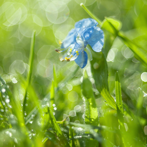 Photo #13908111