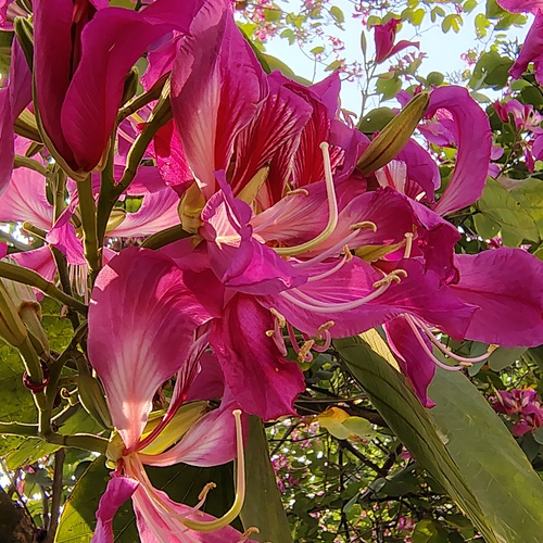 Photo #13908388