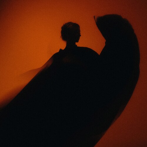 Photo #13908556