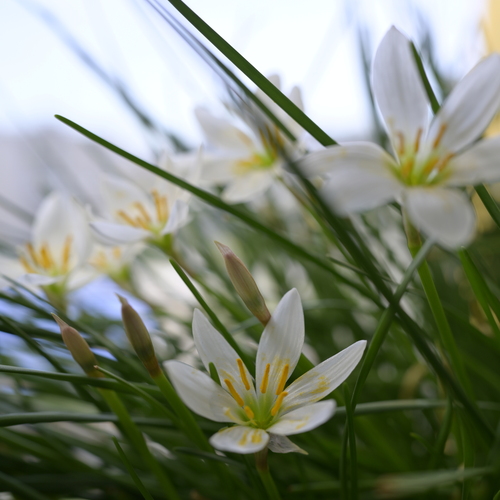 Photo #13908598