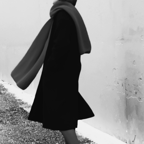 Photo #13908613