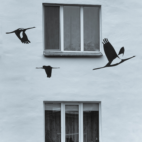 Photo #13908633