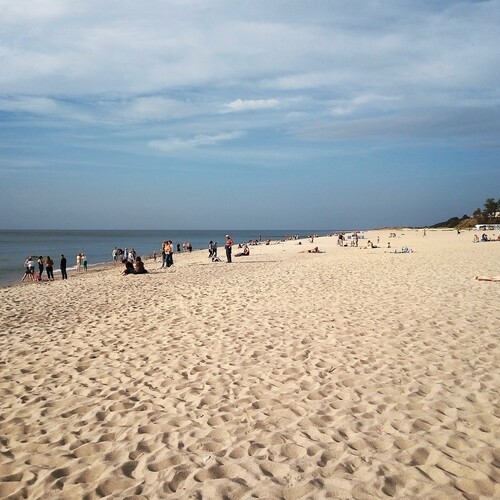 Photo #13908668