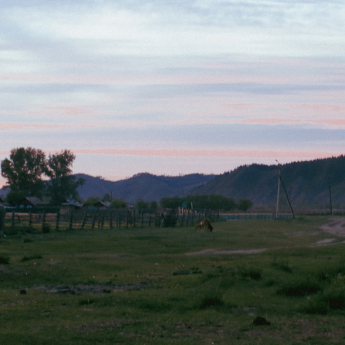 Photo #13908697