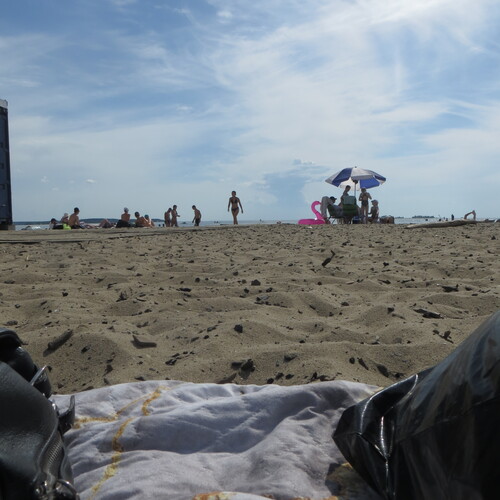 Photo #13908708
