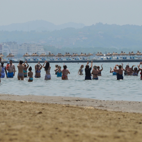 Photo #13908815