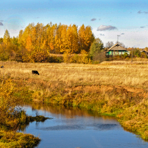 Photo #13908845